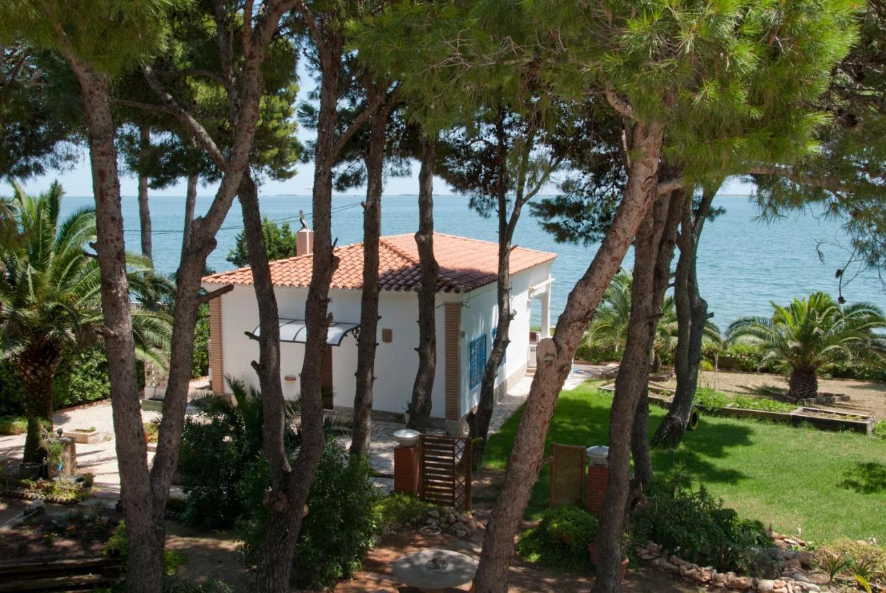 Sargantana Blava Vila Sant Carlos de la Ràpita Exterior foto